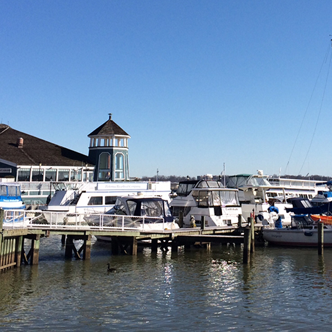 Alexandria Waterfront